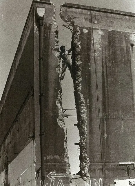 Web 8