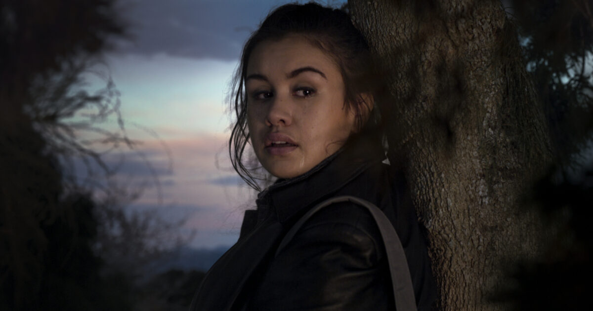 New Zealand Film Commission | Tree