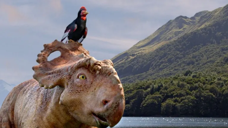 Dinosaurs