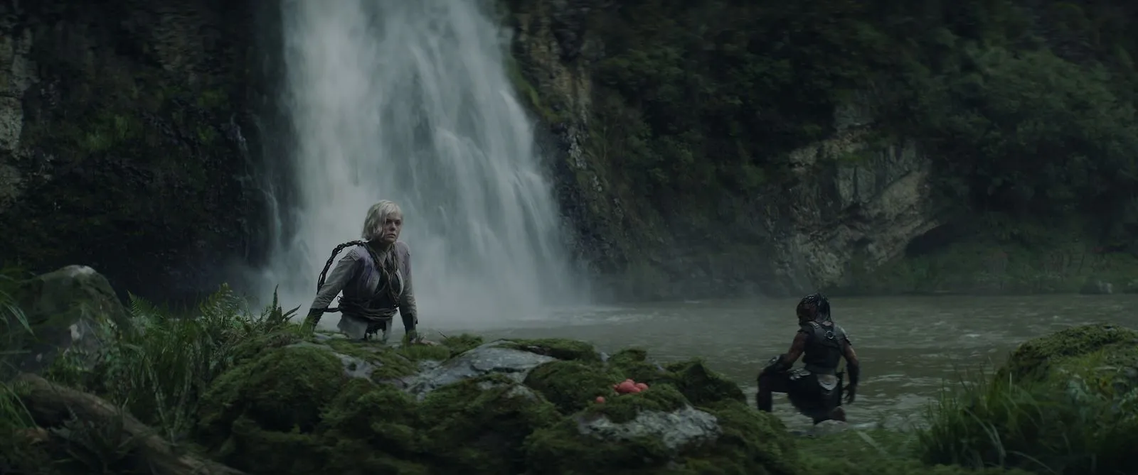 Films Predator Badlands Hero