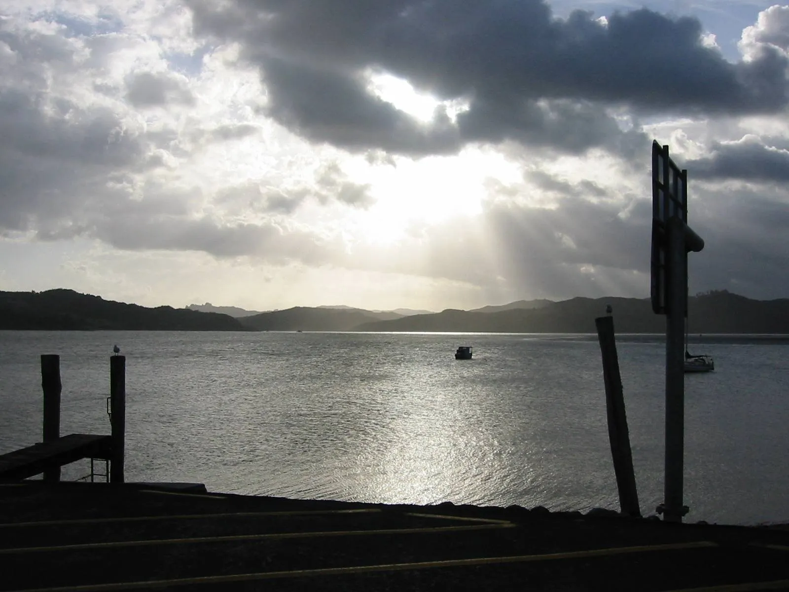 The Freezer Hokianga Morning