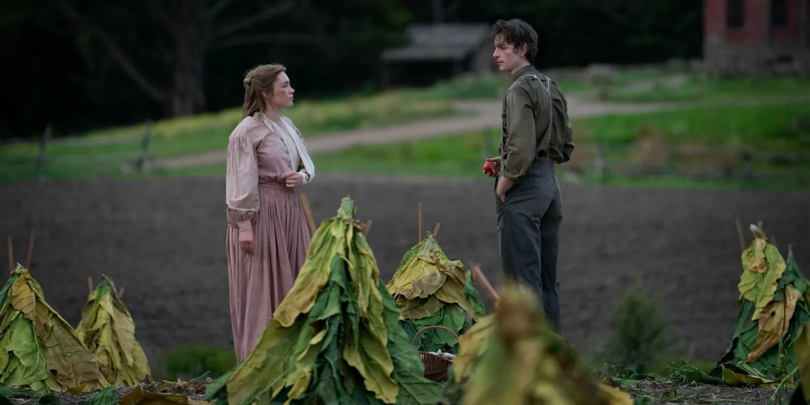 Eastofeden firstlook webbbanner