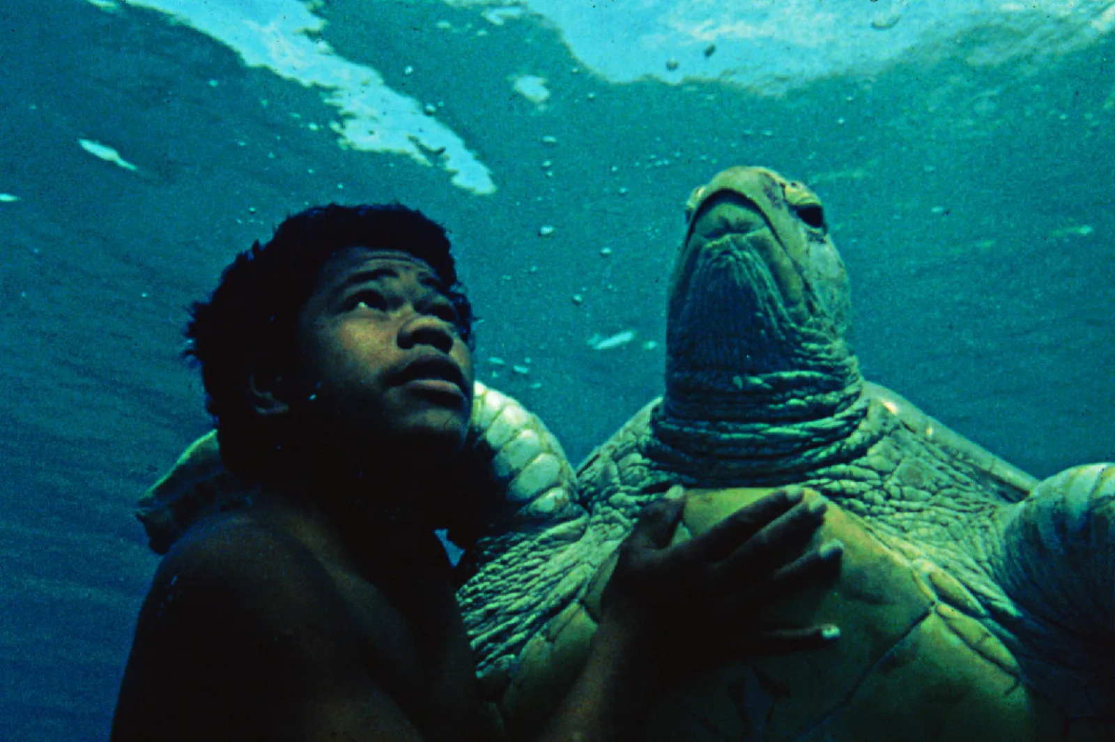 Silent One 281295 Badj5 D