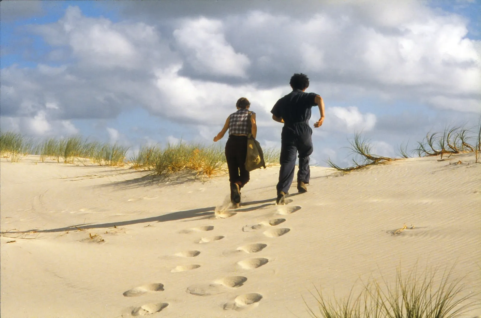 Flight20of20the20 Albatross trannies 0038