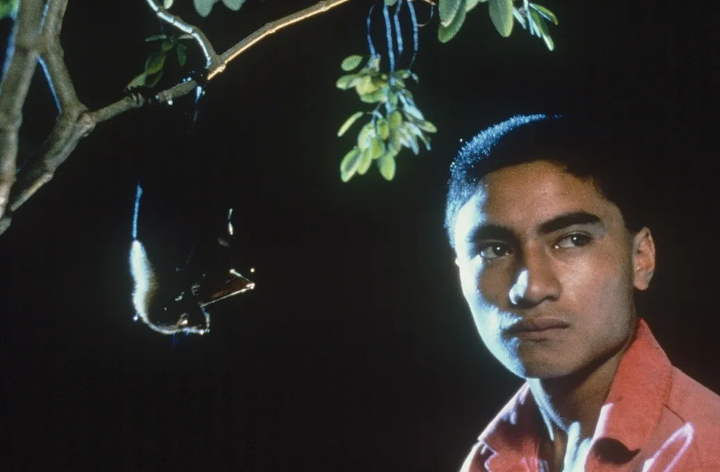 Flying Foxina Freedom Tree1adj