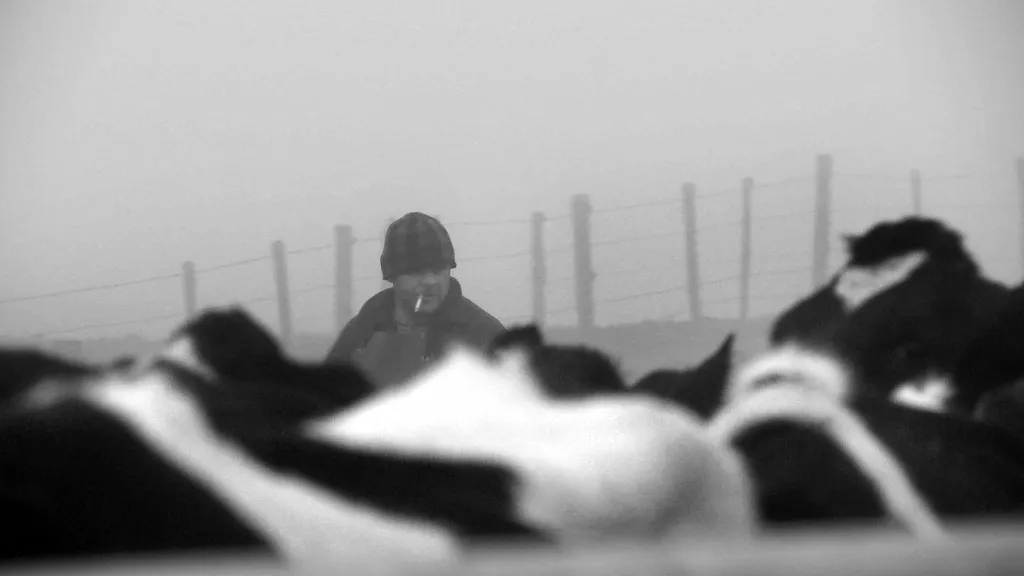 Danny farm 281024x57629