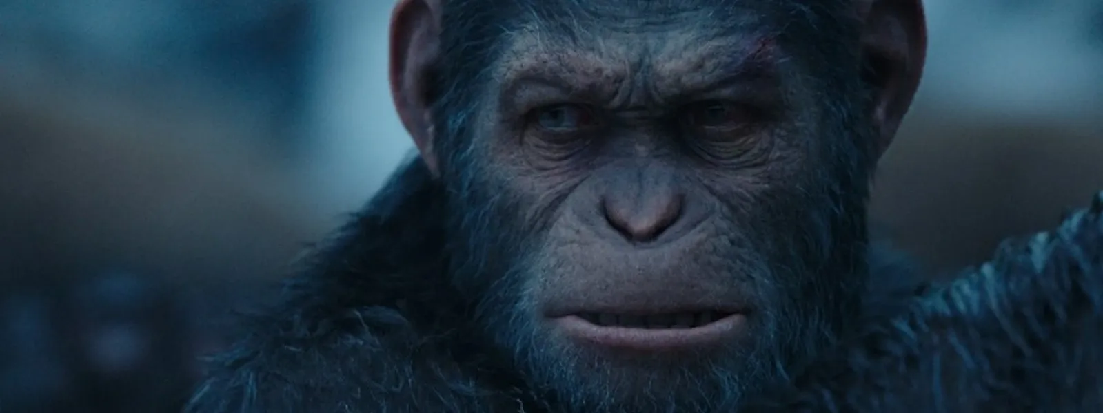 War for the planet of the apes 1