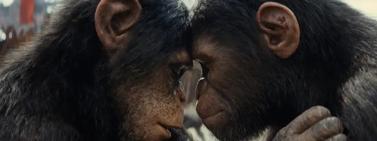 Kingdom of the Planet of the Apes