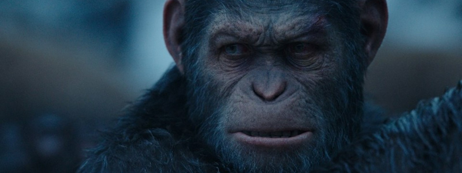 War for the planet of the apes 2019 full movie hotsell