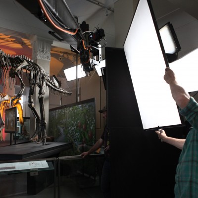 Shooting at Auckland's War Memorial Museum