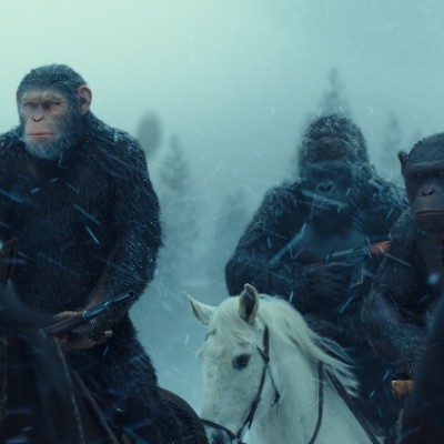 Apes on horseback in the snow