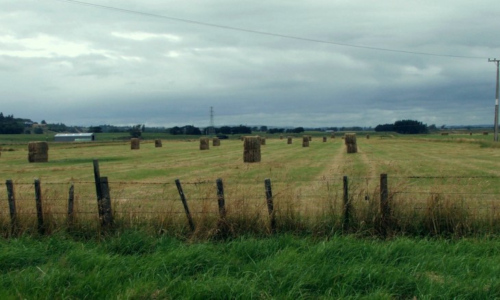 Farmland, Rangitikei, North Island