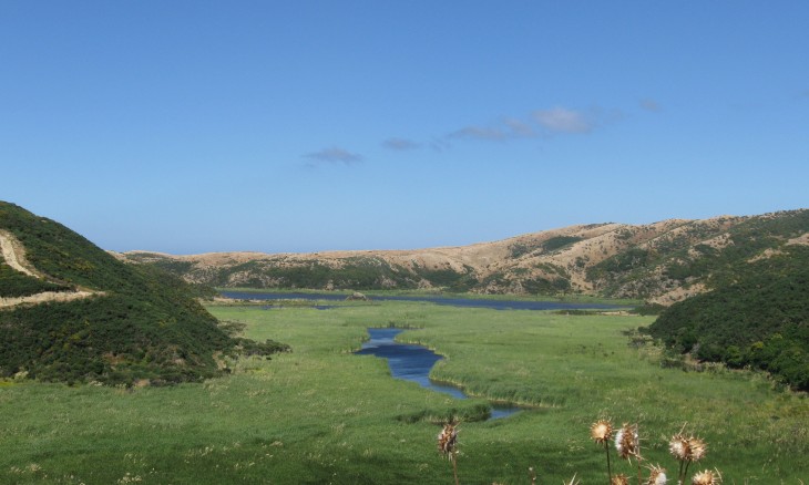 Lake Kohangatera, Wellington, North Island