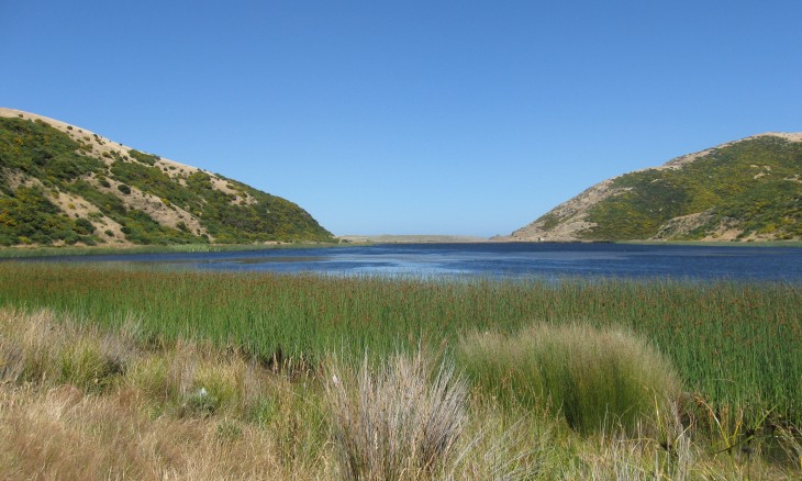 Lake Kohangapiripiri, Wellington, North Island