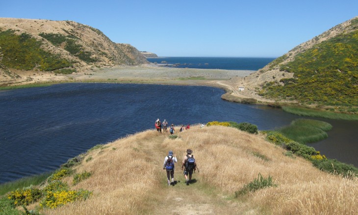 Lake Kohangapiripiri, Wellington, North Island