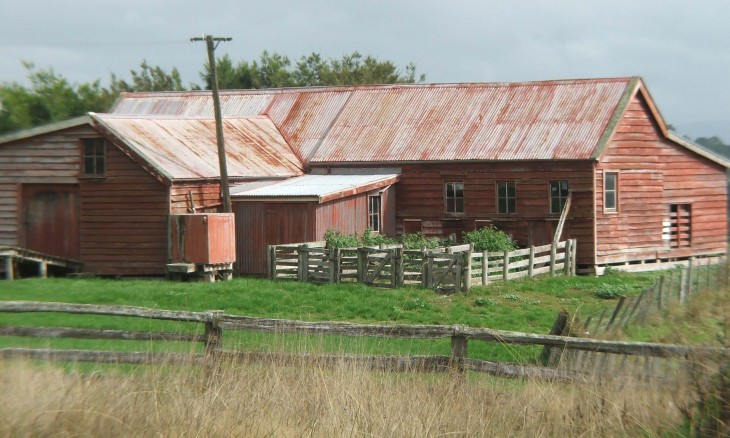 Farm near Martinborough, Wairarapa, North Island