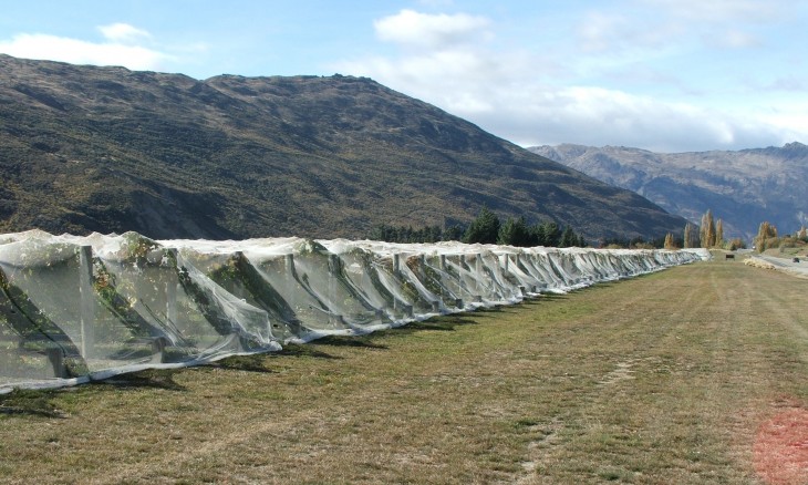 Peregrine Winery, Otago, South Island