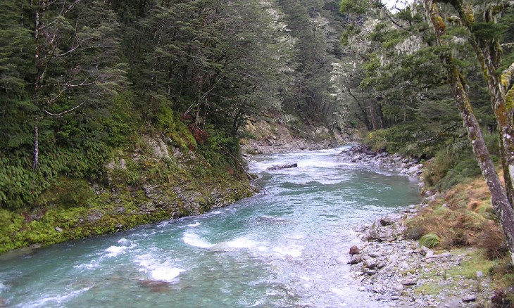 Routeburn track, Glenorchy, South Island