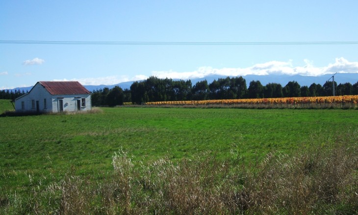 Farmland near Martinborough, Wairarapa, North Island
