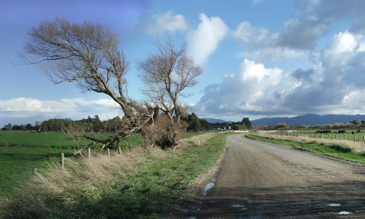 Farmland near Martinborough, Wairarapa, North Island