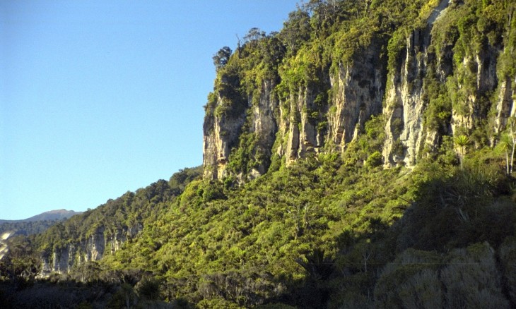 Near Porarari River, West Coast, South Island