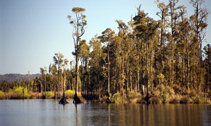 Lake Kaniere, Hokitika, West Coast, South Island