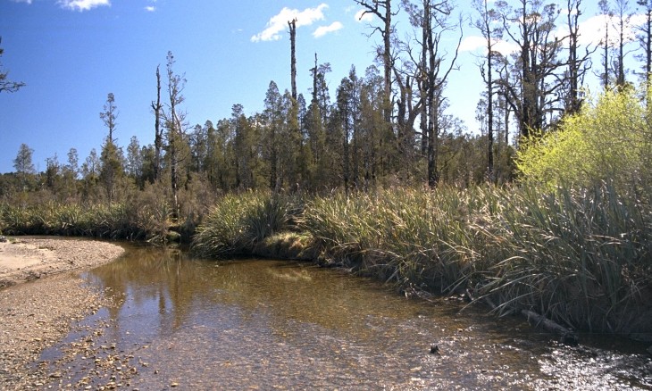 Karamea, West Coast, South Island