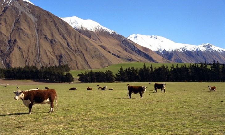 Farm near Methven, Canterbury, South Island