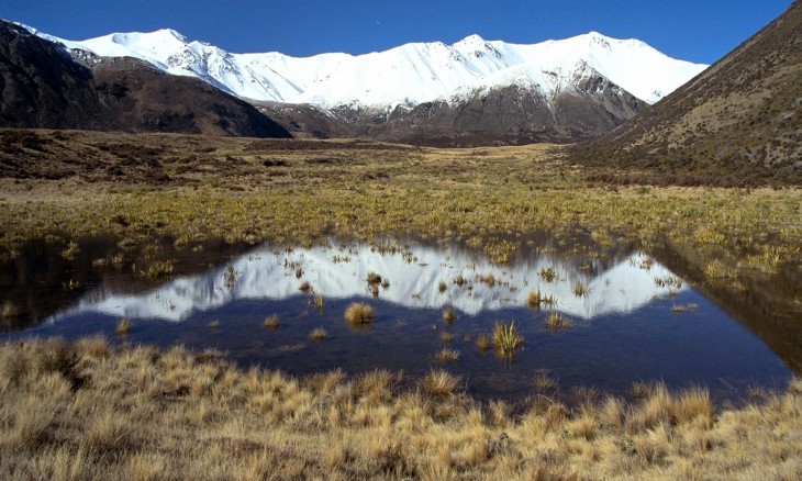 Near Lake Coleridge, Canterbury, South Island