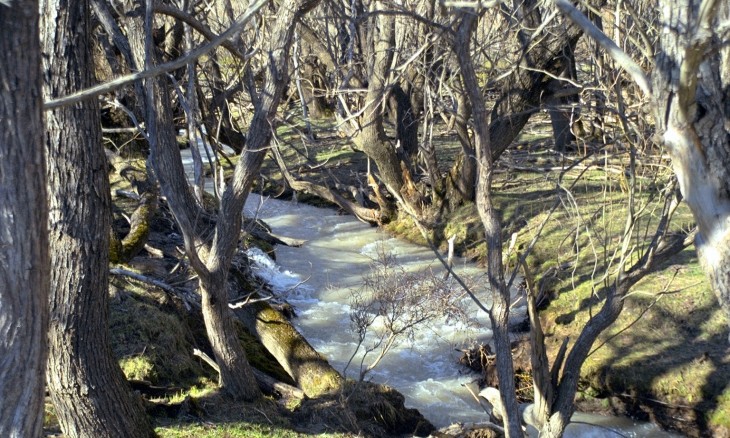 Near Methven, Canterbury, South Island