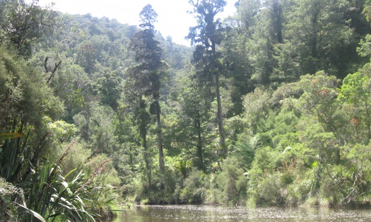 Wairau River, Marlborough, South Island