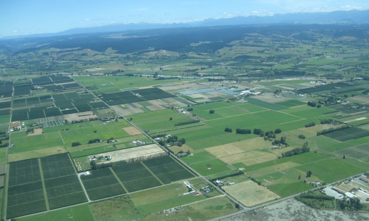 Farmland south of Nelson, South Island