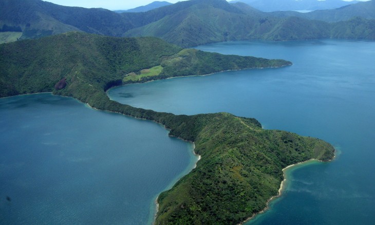 Maud Island, Marlborough Sounds, South Island