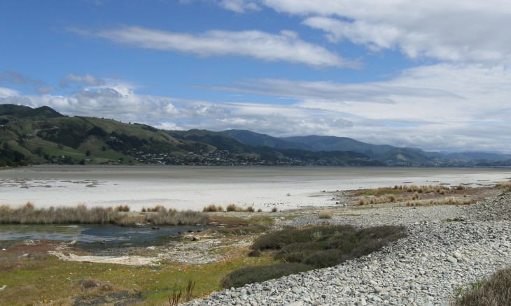 Estuary near Nelson, South Island