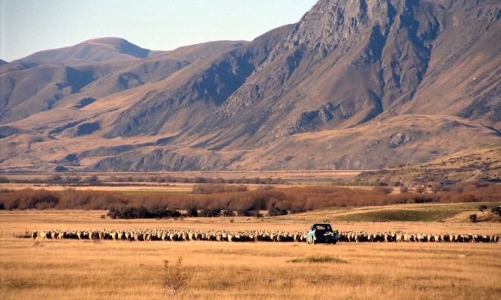 Farm near Methven, Canterbury, South Island