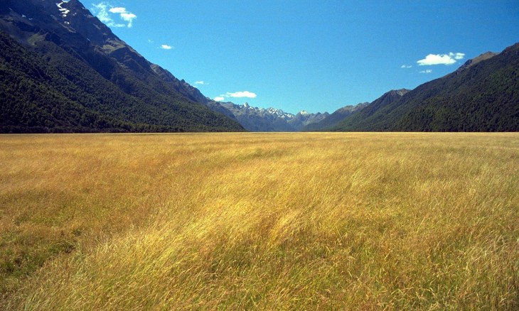 Near Te Anau, Southland, South Island