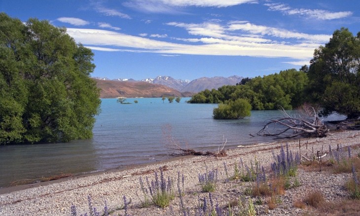 Lake Tekapo, Canterbury, South Island