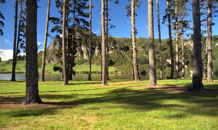 Lake Whakamaru, Waikato, North Island