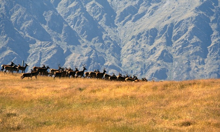 Deer Park Heights, Queenstown, South Island