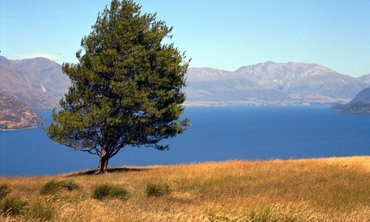 Deer Park Heights, Queenstown, South Island