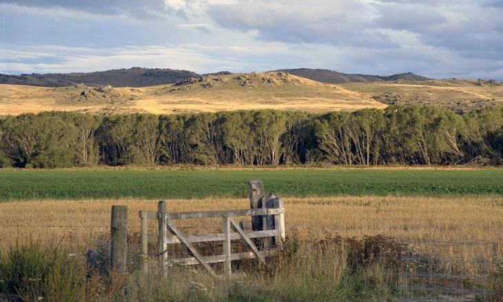 Farm near Te Anau, Southland, South Island