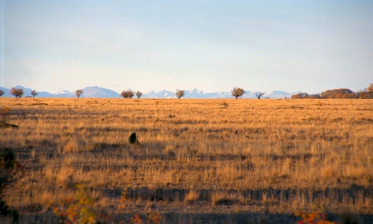 Plains near Omarama, Otago, South Island