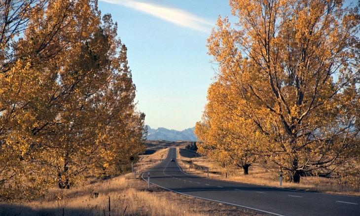 Road near Twizel, Canterbury, South Island