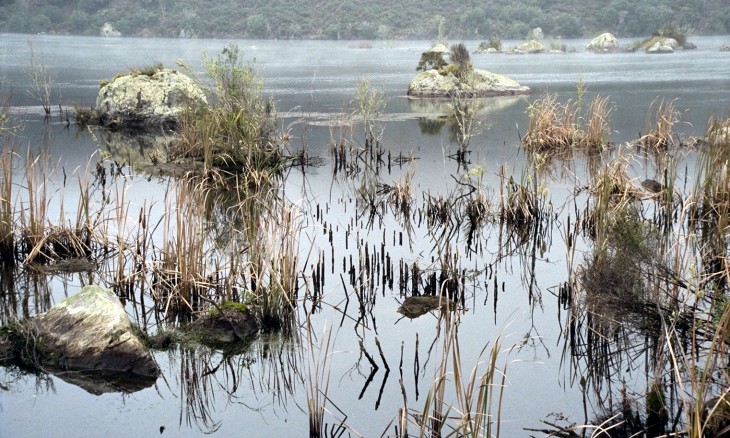 Lake Whakamaru, Waikato, North Island