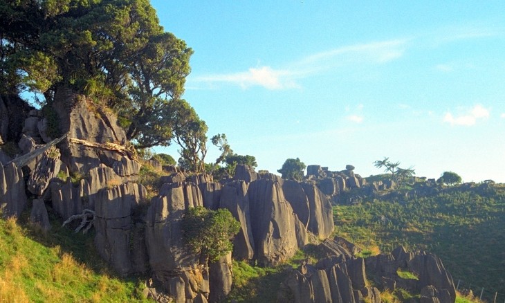 Rock Formations near Waitomo, Waikato, North Island