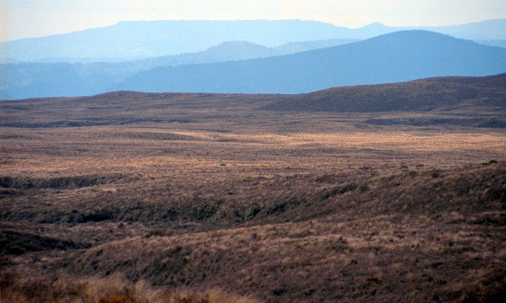 Near Waiouru, Central Plateau, North Island