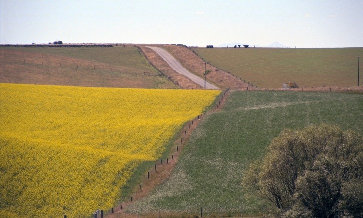 Farm near Oamaru, Otago, South Island