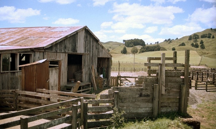 Farm near Taumaranui, Manawatu-Wanganui, North Island