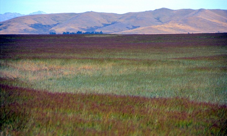 Tekapo, Canterbury, South Island