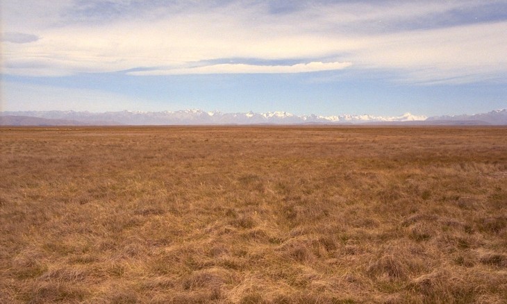 Tekapo, Canterbury, South Island